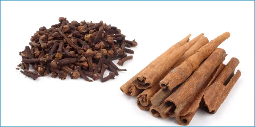 Whole cinnamon sticks alongside a pile of cloves on a white background, ideal for natural oral health and DIY mouthwashes, free from unnecessary additives.