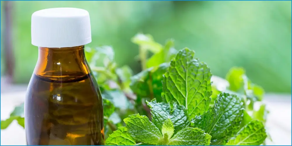 Amber bottle with a white cap in focus, ideal for natural oral health DIY mouthwashes, with blurred green mint leaves in the background.