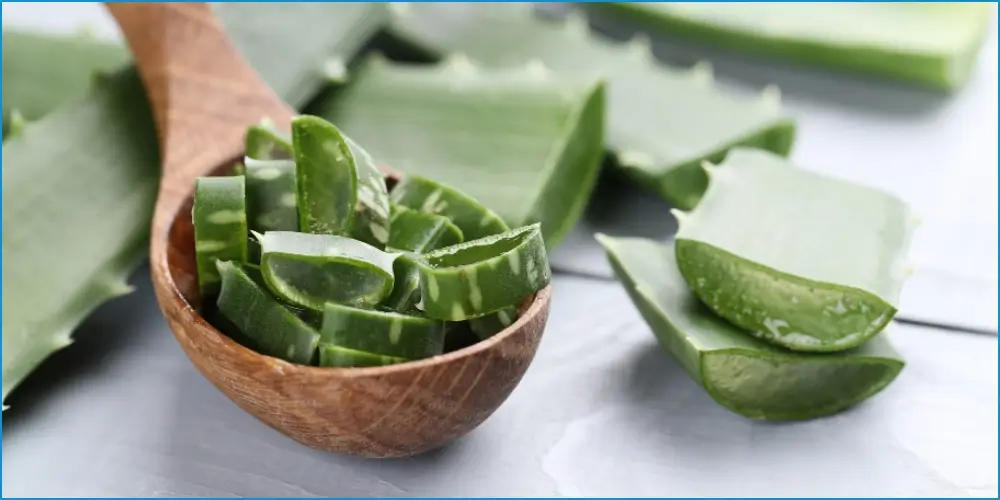 Aloe Vera for Mouth Sore – YesTablets